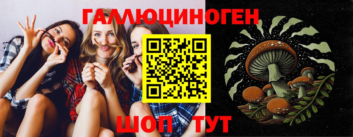 Галлюциногенные грибы Psilocybine cubensis  Вход с VPN  Строитель 