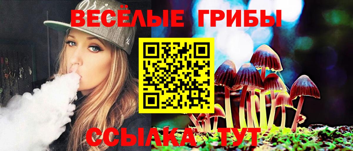 Галлюциногенные грибы мухоморы Строитель